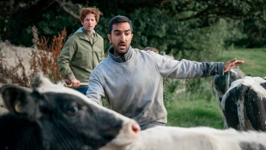 Кадр из 4 серии 4 сезона сериала «Голяк»